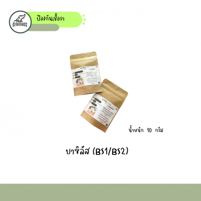 บาซิลัส (BS1/BS2)