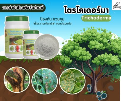 ไตรโคเดอม่า ชนิดผง