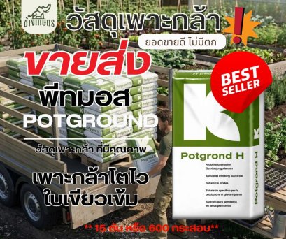 พีทมอส potground คลาสแมน