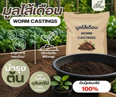 มูลไส้เดือน (กระสอบ)