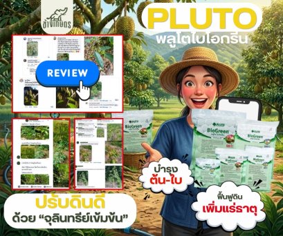 พลูโตไบโอกรีน สารปรับสภาพดิน