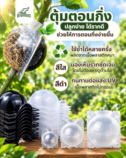 ตุ้มตอนกิ่ง เเบบพลาสติก (PP)