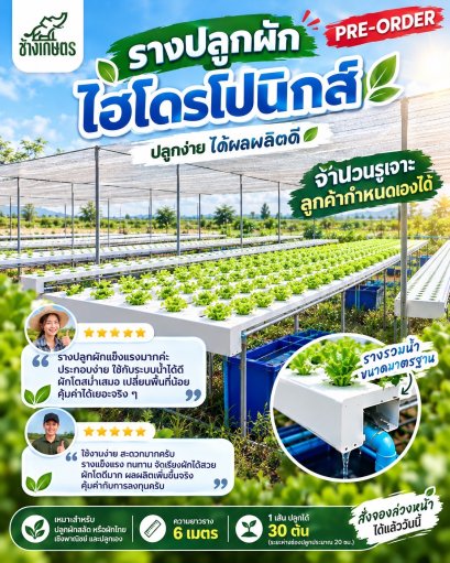 รางปลูกผักไฮโดรโปนิกส์