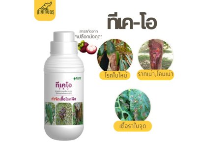 พลูโตร ทีเคโอ (เชื้อรา)