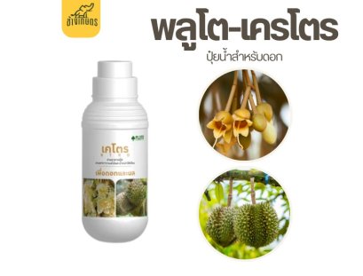 พลูโตเคโตร