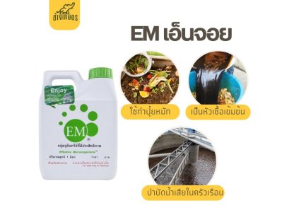 อีเอ็ม ( EM Enjoy)