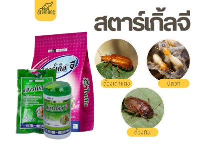 สตาร์เกิ้ลจี