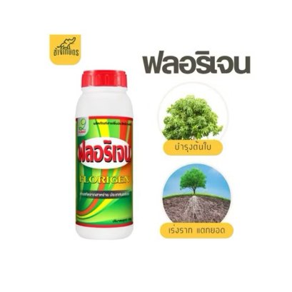 ฟลอริเจน สารสกัดสาหร่ายสีเขียว