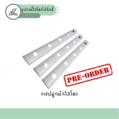 รางปลูกผักไฮโดรโปนิกส์