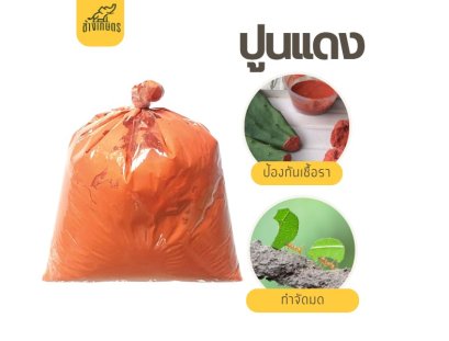 ปูนแดง