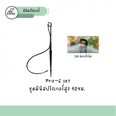 Pro-6 set ชุดมินิสปริงเกอร์สูง 40 ซม. 200 ลิตรต่อชั่วโมง