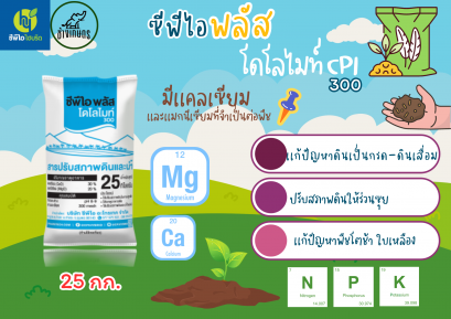 โดโลไมท์  CPI