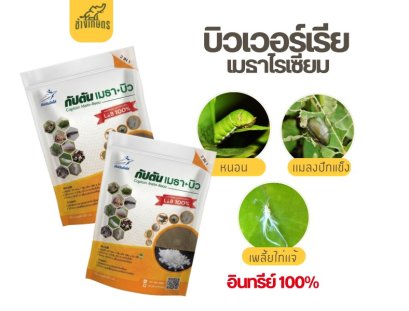 กัปตันเมธาบิว