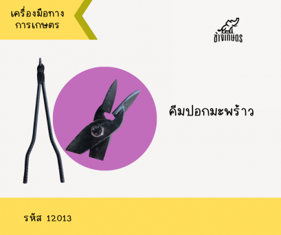 คีมปอกมะพร้าว