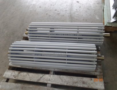 ลูกตามสายพาน