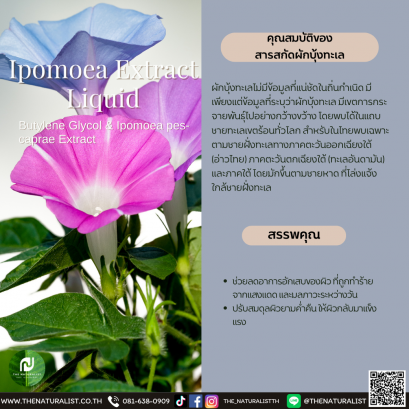 สารสกัดผักบุ้งทะเล - Ipomoea Extract Liquid