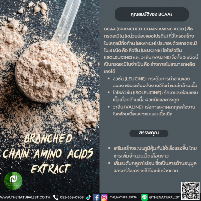 กรดอะมิโน - Branched Chain Amino Acids Extract