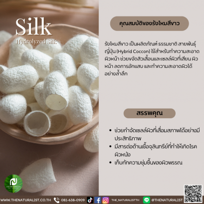 รังไหมสีขาว - White Silk