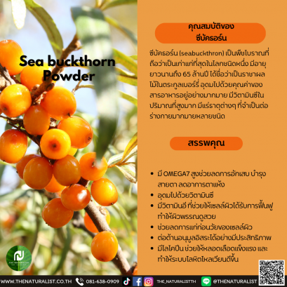 ซีบัคธอร์น - Sea buckthorn Powder