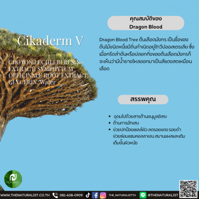 ต้นเลือดมังกร - Cikaderm V