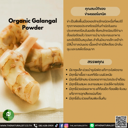 ข่าผงออร์แกนิค - Organic Galangal Powder