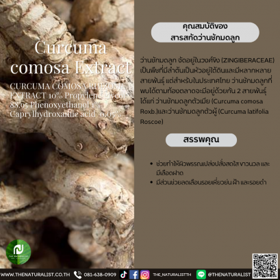 สารสกัดว่านชักมดลูก - Curcuma comosa Extract