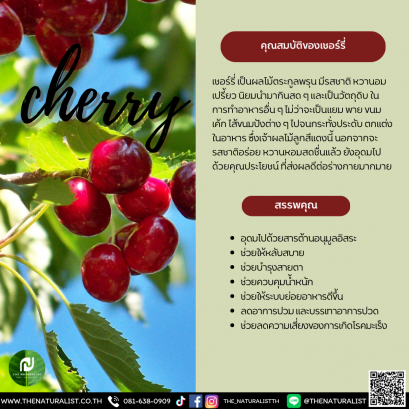 เชอร์รี่ - cherry Extract