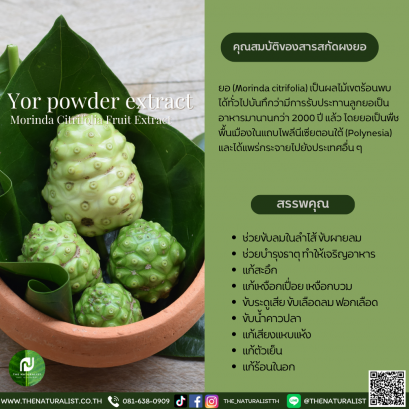 สารสกัดผงยอ - Yor powder extract