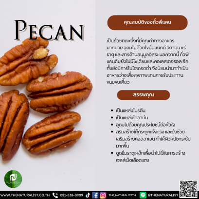 ถั่วพีแคน - Pecan