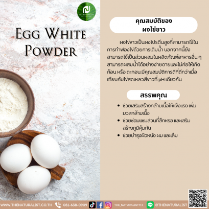 ผงไข่ขาว - Egg White Powder