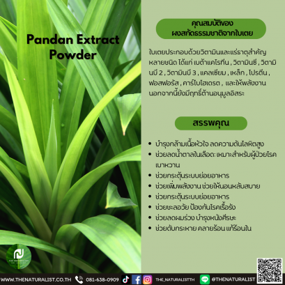 ผงสกัดธรรมชาติจากใบเตย - Pandan Extract Powder