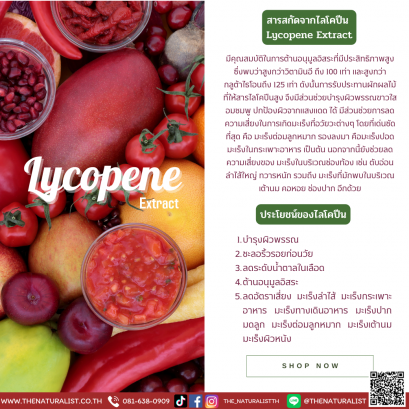 สารสกัดจากไลโคปีน - Lycopene Extract