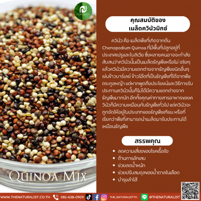 เมล็ดควินัวมิกซ์ - Quinoa Mix