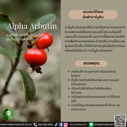 อัลฟ่าอาร์บูติน - Alpha Arbutin