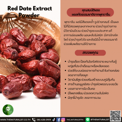 ผงสกัดธรรมชาติจากพุทราจีน - Red Date Extract Powder