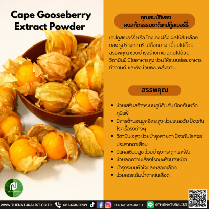 ผงสกัดธรรมชาติเคปกู๊สเบอร์รี่ - Cape Gooseberry Extract Powder