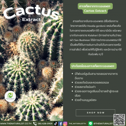 สารสกัดจากกระบองเพชร - Cactus Extract