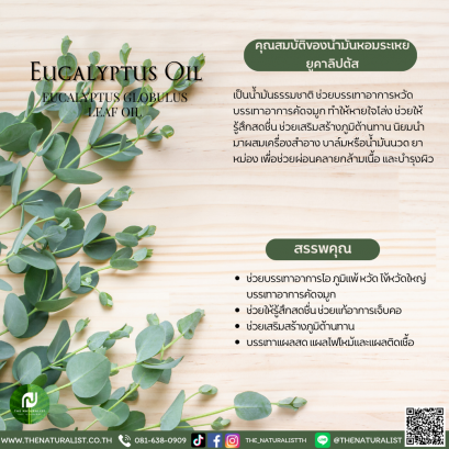 น้ำมันหอมระเหยยูคาลิปตัส - Essential Eucalyptus Oil