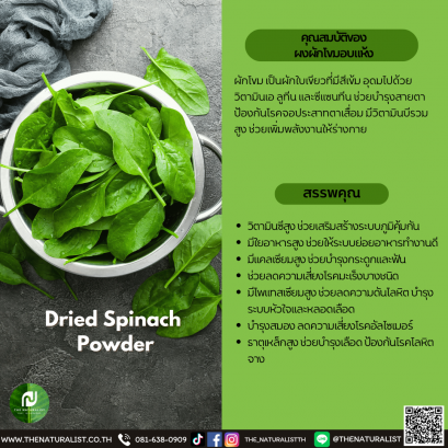 ผงผักโขมอบแห้ง - Dried Spinach  Powder