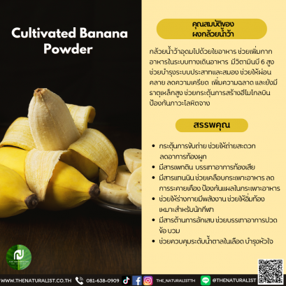 ผงกล้วยน้ำว้า - Cultivated Banana Powder