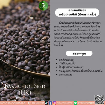 เมล็ดโกฐนษิณี (พืชตระกูลถั่ว) - Bakuchiol Seed (UK)