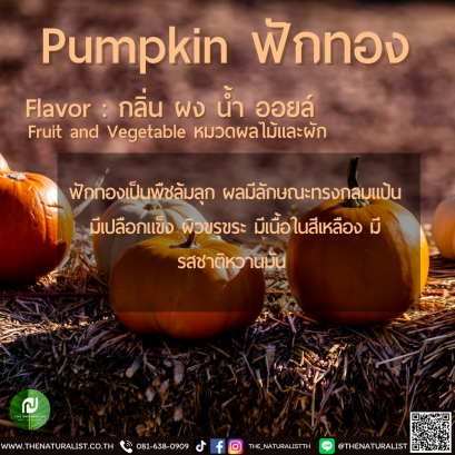 Pumpkin Flavor  -  ฟักทอง