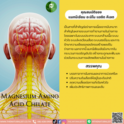 แมกนีเซียม อะมิโน แอซิด คีเลต - Magnesium Amino Acid Chelate