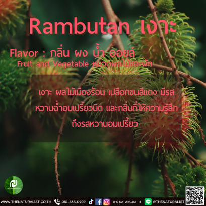 เงาะ - Rambutan Flavor