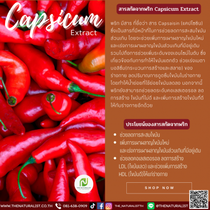 สารสกัดจากพริก - Capsaisin Extract
