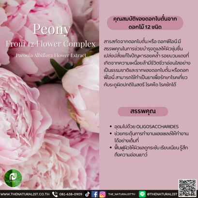 ดอกโบตั๋น - Peony Flower Extract