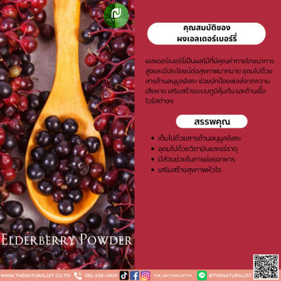 ผงเอลเดอร์เบอร์รี่ - Elderberry Powder