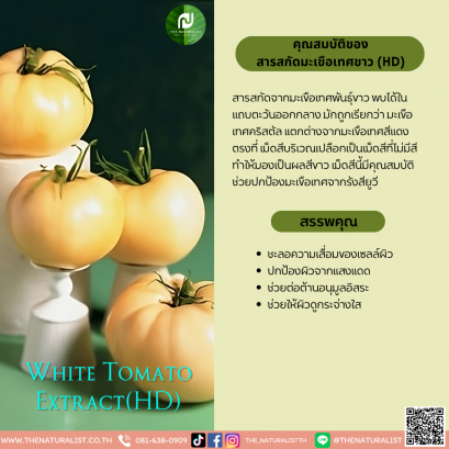สารสกัดมะเขือเทศขาว(HD) - White Tomato Extract(HD)