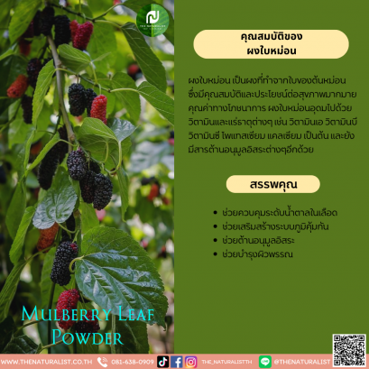 ผงใบหม่อน - Mulberry Leaf Powder