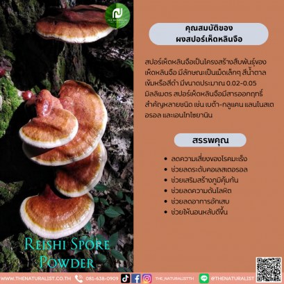ผงสปอร์เห็ดหลินจือ - Reishi Spore Powder